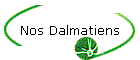 Nos Dalmatiens